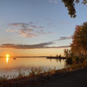 Connecting the Dots: My Chronic Pain Explained.